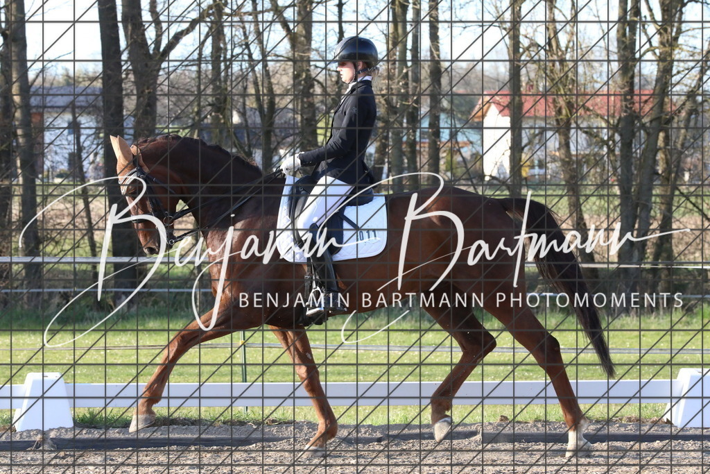 AZ2A5596 | Benjamin Bartmann Photomoments