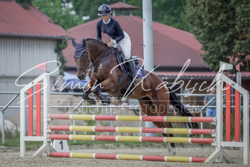20250906-_3LI5944 | Tierfotografie Pferde, Hunde, Katzen, Haustiere.
Turnierfotografie Reitturniere, Reiten, Springreiten, Dressur in Hanau, dem Main-Kinzig-Kreis und dem Rhein-Main- Gebiet um Frankfurt