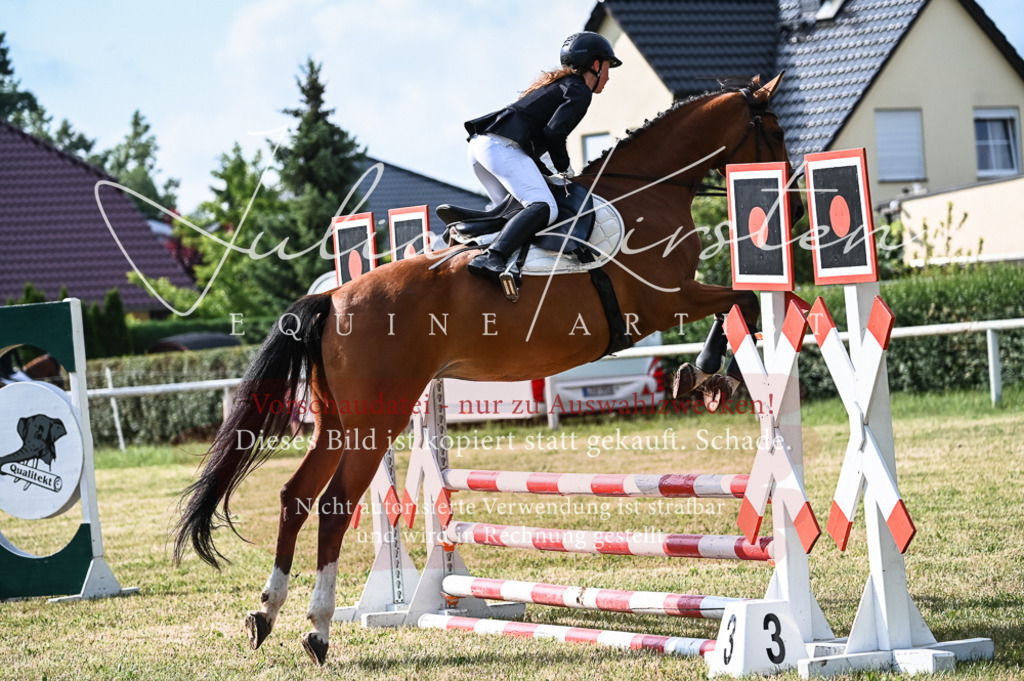 DSC_7694 | Pferde- und Turnierfotografie in Westsachsen. Pferdeportraits, Auftragszeichnungen und intuitive Kunst.
