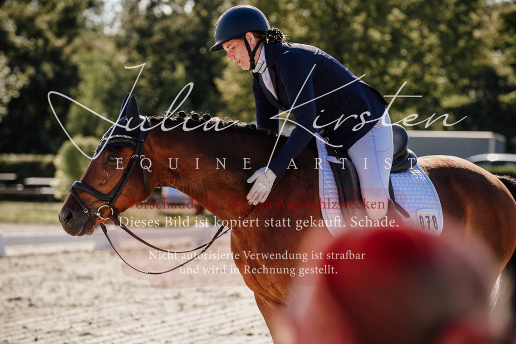 DSC_0286 | Pferde- und Turnierfotografie in Westsachsen. Pferdeportraits, Auftragszeichnungen und intuitive Kunst.