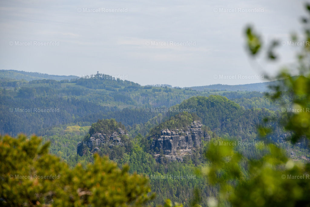 _DSC5018 | foto-rosenfeld