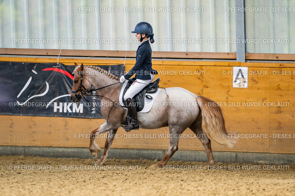 DSC02572 | Pferdegrafie