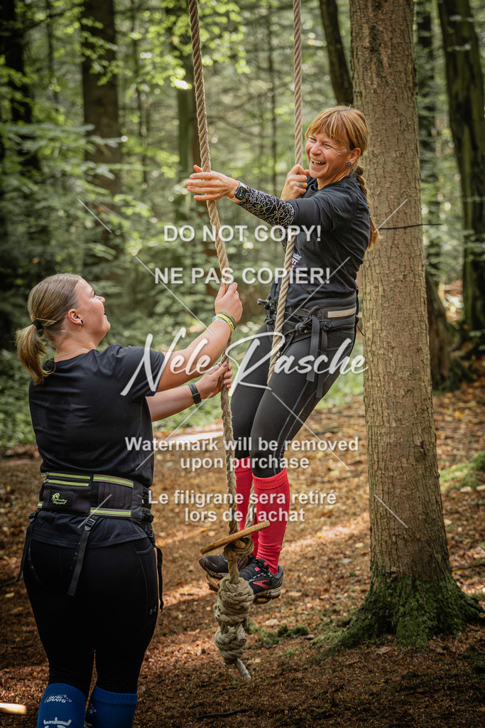 nelerasche_SoWingst1130-1230_207 | nelerasche