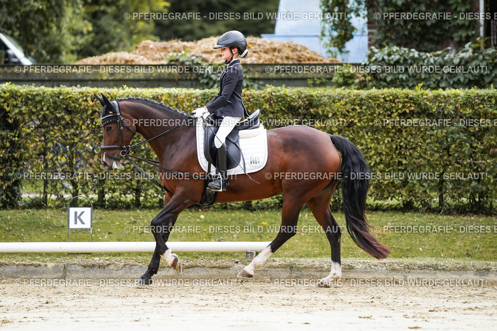 DSC05400 | Pferdegrafie