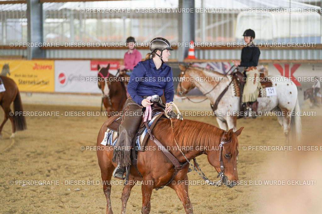 DSC08992 | Pferdegrafie