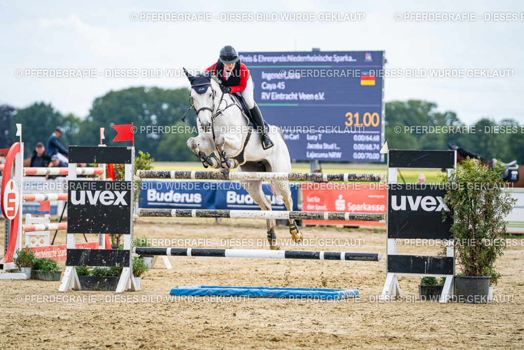 DSC07115 | Pferdegrafie