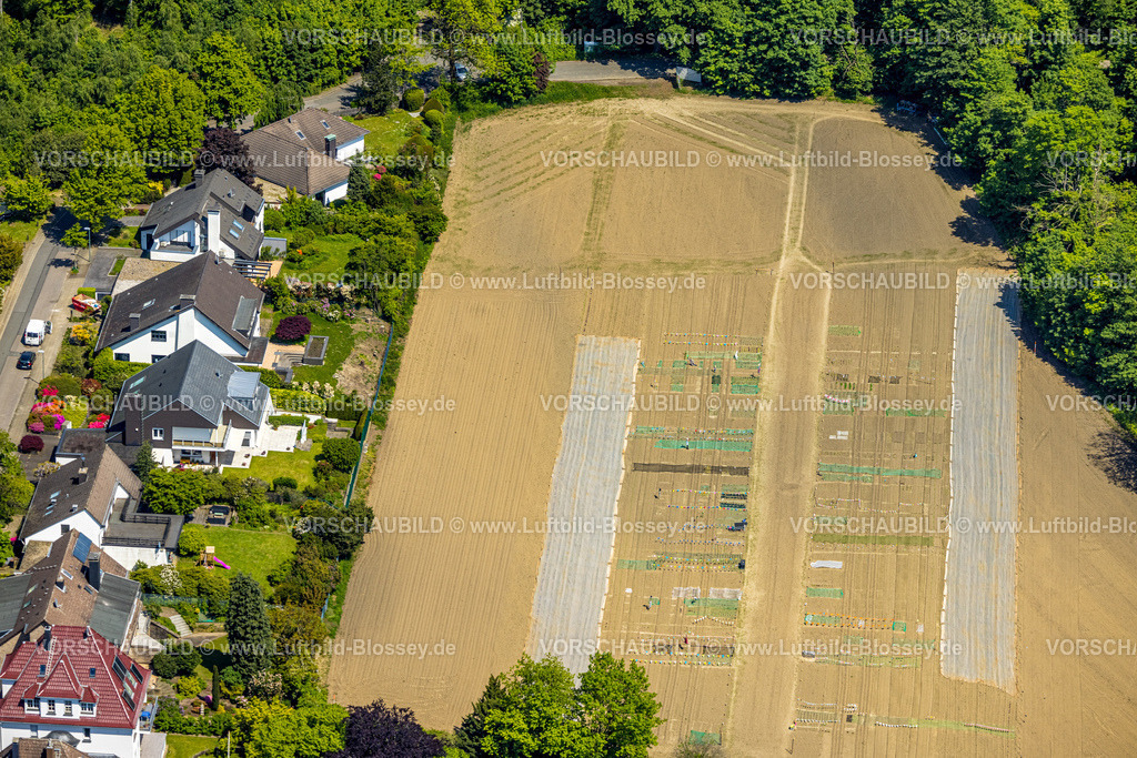 Essen230511918 | Luftbild, Pott Gärten, Gemüseanbaufeld an der Vittinghoffstraße, Stadtwald, Essen, Ruhrgebiet, Nordrhein-Westfalen, Deutschland