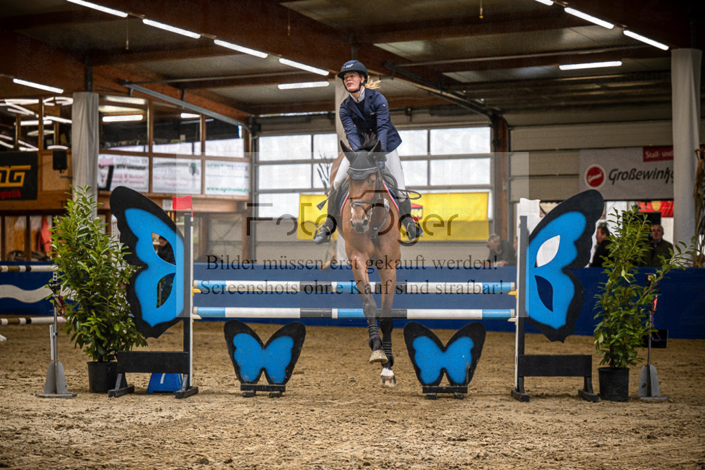 DOS_B1275 | Entdecke hochwertige Reitturnierfotos von Foto Oger. Professionell, emotional und authentisch – jetzt Lieblingsmomente im Shop bestellen.Deutschlandweite Turnierfotografie. - Realisiert mit Pictrs.com