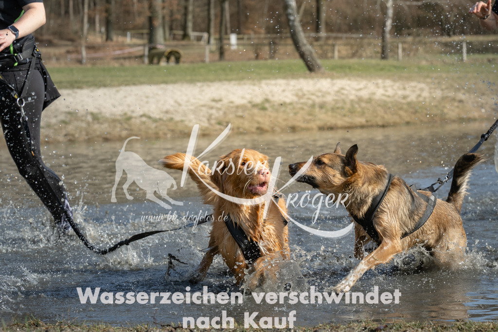 1355_ZZ98928 | kk-dogfotos