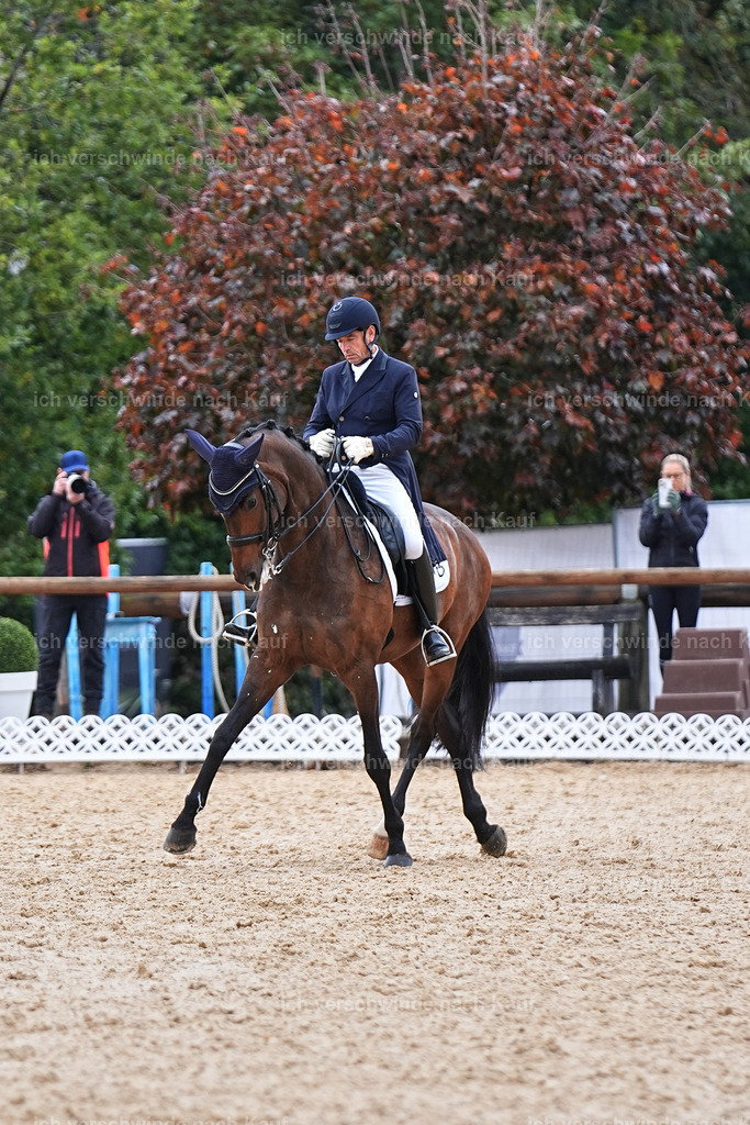 12-226-DRESSUR  S___  -Marixx-5202 | working equitationturnier fotograf videograf stoibphotography marixx film working equitation deutschland reitsport turnierfotografie eventfotografie equestrian events