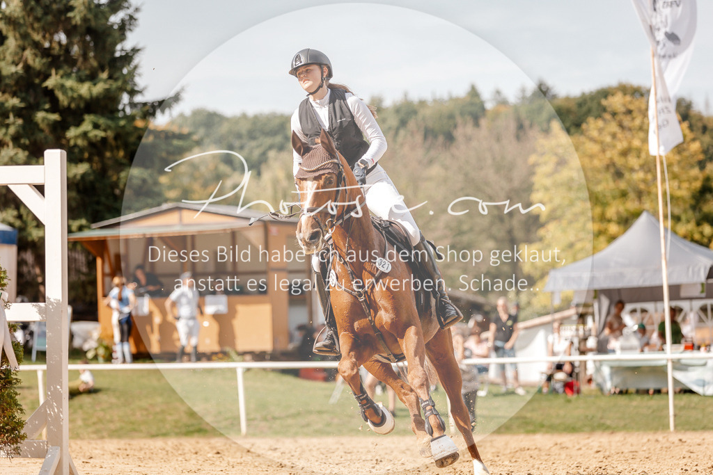 3I6A4609 | Stimmungsvolle Portraits und Reitsportfotografie im Ruhrgebiet und im Münsterland.

Pferdefotografie, Hundefotografie, Tierfotografie, Reportagen, Portraits von Tier und Mensch, Turnierfotografie in Bochum, Recklinghausen, Marl, Haltern am See, Dülmen.. - Realisiert mit Pictrs.com