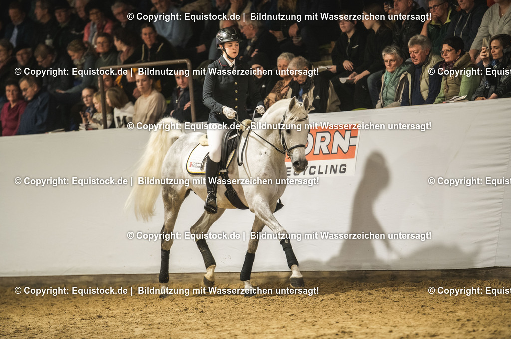 20240302_Hengstvorstellung_Marbach_TOMsPiC_1054 | equistock
