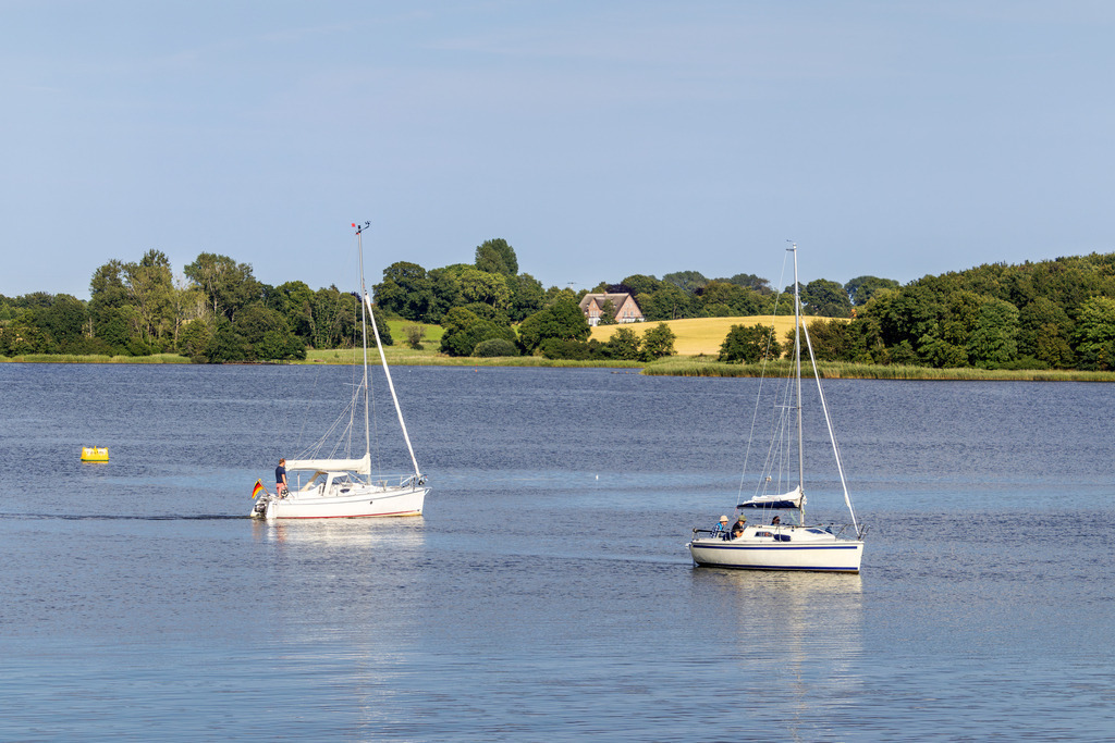 Wandbild: Segelboote auf der Schlei in Lindaunis | Dieses Wandbild im Querformat zeigt zwei Segelboote auf der Schlei in Lindaunis. Die Boote spiegeln sich leicht im Wasser der Schlei. Am anderen Ufer der Schlei sind Bäume und Felder zu sehen. Direkt hinter einem Feld befindet sich ein Haus. Der blaue Himmel ist wolkenlos. - Realisiert mit Pictrs.com