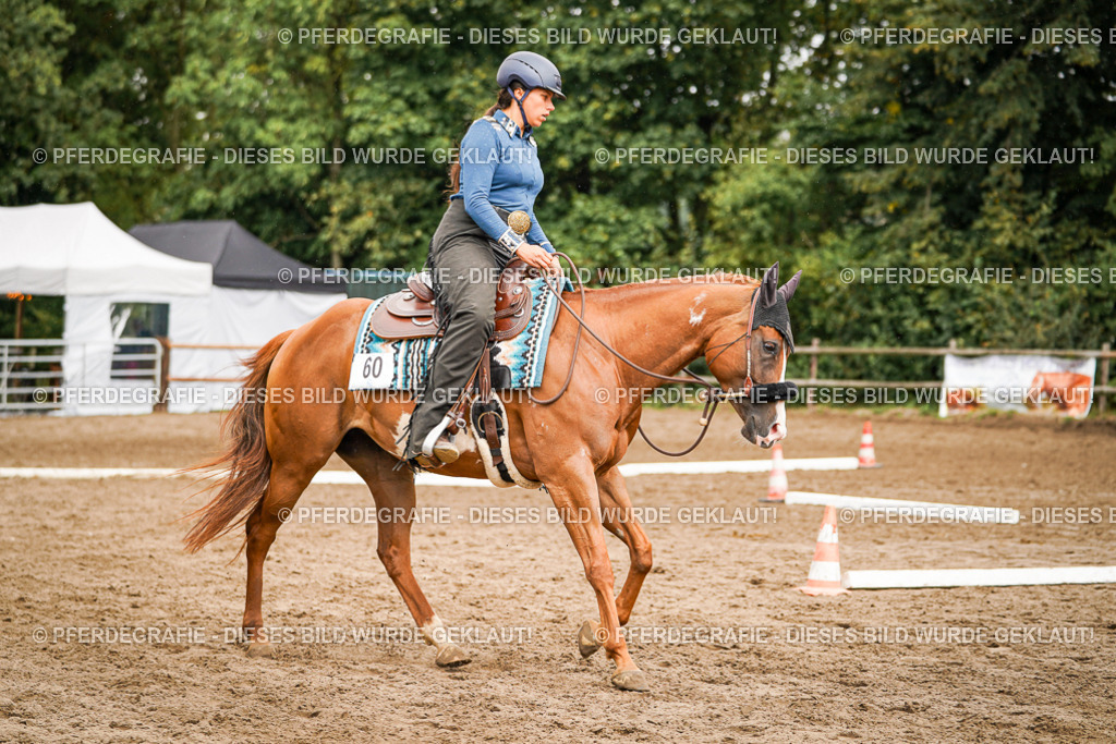 DSC04413 | Pferdegrafie