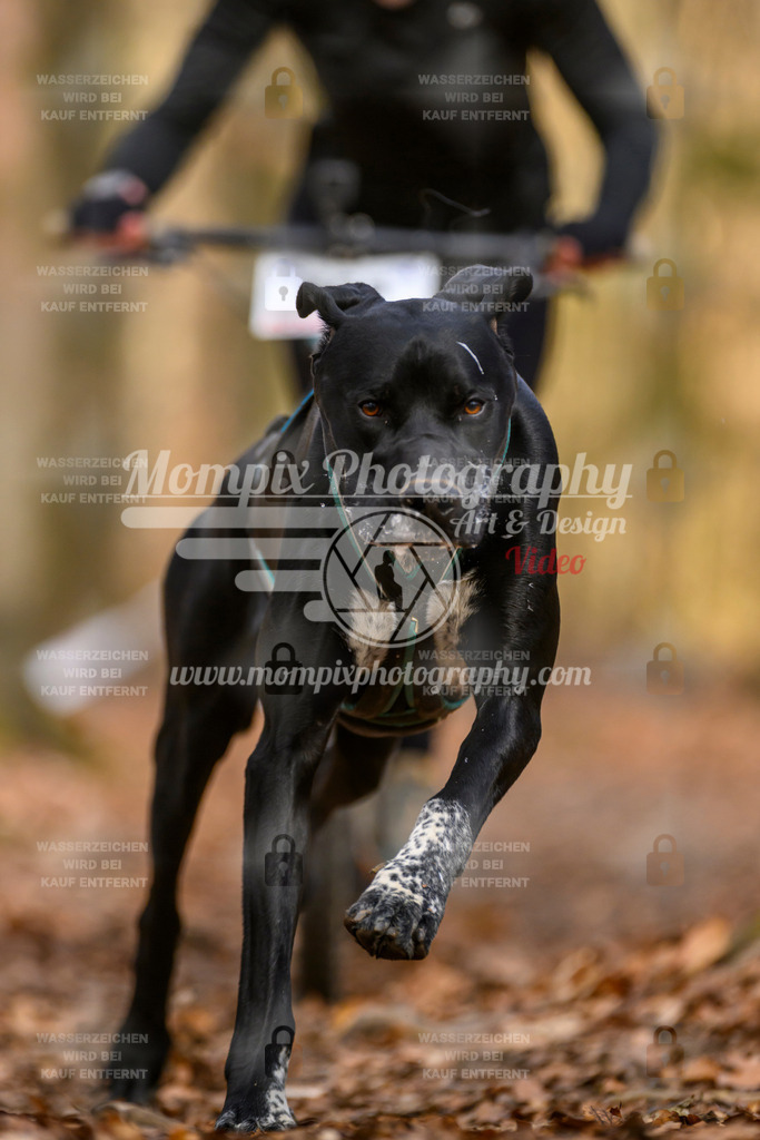 MompixPhotography_Habay2025_SA_SCO-40 | PayLife
