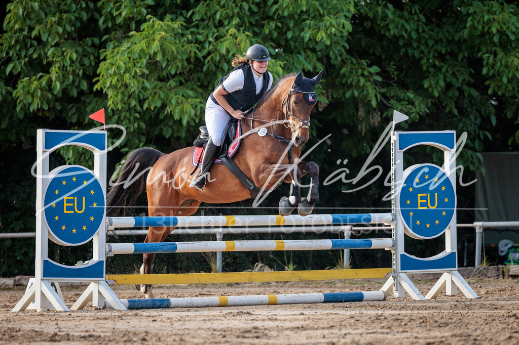 20260529-_3LI1386 | Tierfotografie Pferde, Hunde, Katzen, Haustiere.
Turnierfotografie Reitturniere, Reiten, Springreiten, Dressur in Hanau, dem Main-Kinzig-Kreis und dem Rhein-Main- Gebiet um Frankfurt