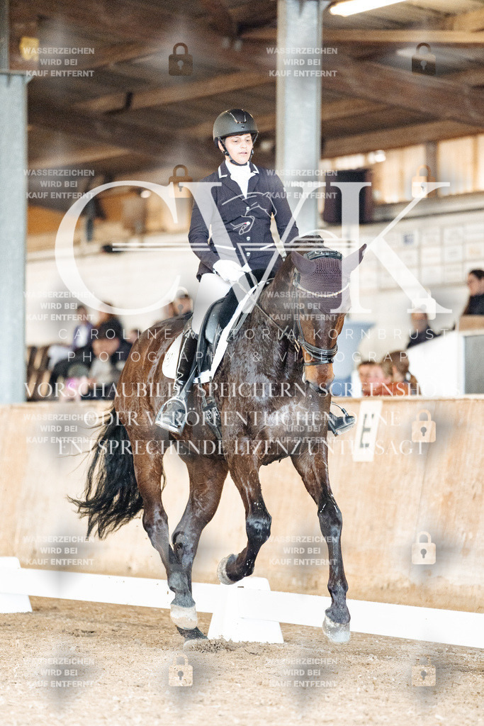 CK901523 | Turnierfotografie Pferdefotografie Trier Rheinland-Pfalz Pferdesport Reitsport Tierfotografie Sportfotografie Pferdevideo Pferdevideografie Equestrianvideography equestrianphotography  - Realisiert mit Pictrs.com