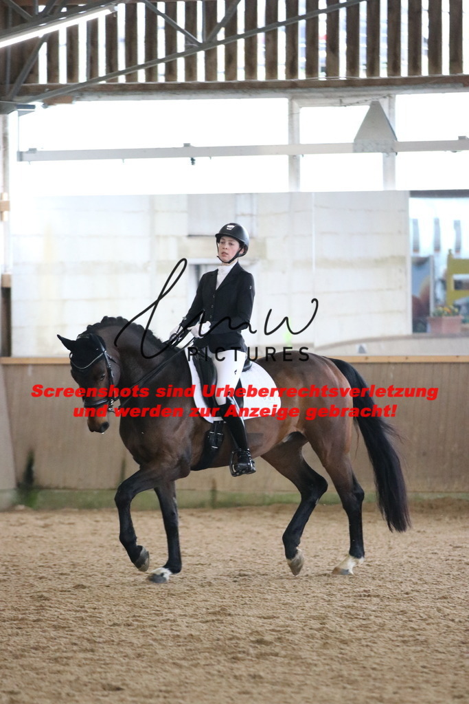 IMG_9940 | lmwpictures - Realisiert mit Pictrs.com