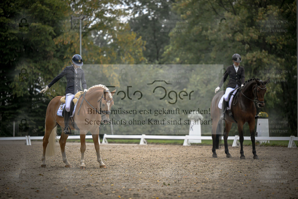 FOTO OGER | Entdecke hochwertige Reitturnierfotos von Foto Oger. Professionell, emotional und authentisch – jetzt Lieblingsmomente im Shop bestellen. - Realisiert mit Pictrs.com