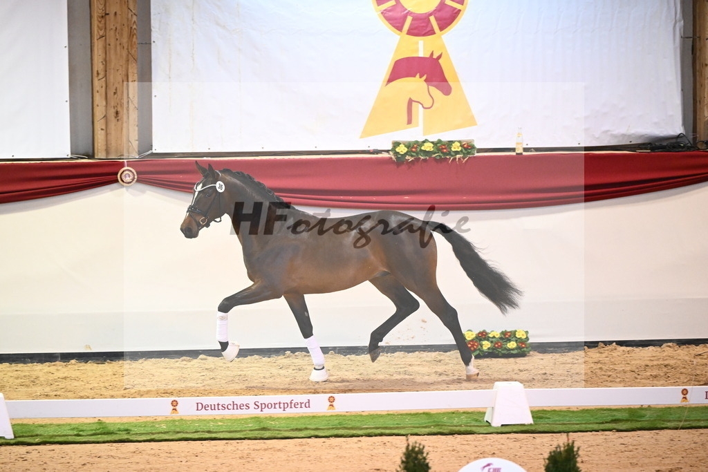 Kat.-Nr. 36 v. Bon Vivaldi_Kornes_2240367 | hf-fotografie - Realisiert mit Pictrs.com