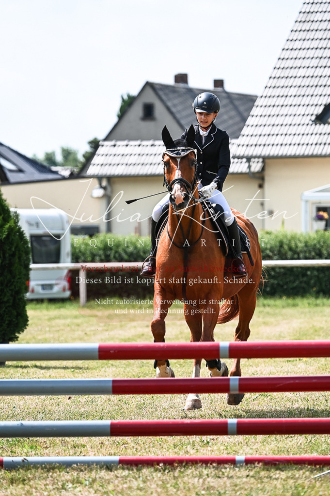 DSC_9175 | Pferde- und Turnierfotografie in Westsachsen. Pferdeportraits, Auftragszeichnungen und intuitive Kunst.