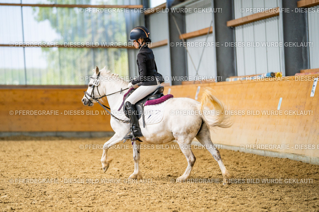 DSC03384 | Pferdegrafie