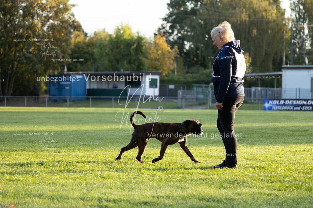 _16A5958 | Einzigartige Fotos von Hunden & Menschen –Actionfotos, Portraits, Vereinsaufnahmen & Paarshootings – authentisch, lebendig & mit Herz.