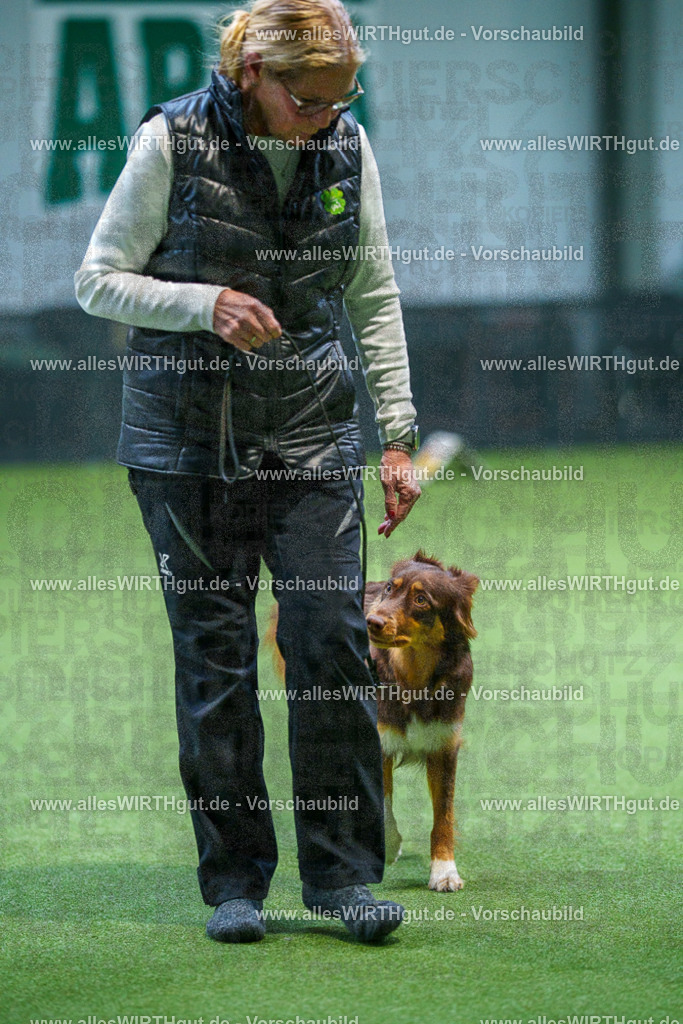 7R506226 | Professionelle Tierfotografie in Mönchengladbach von Daniel Wirth (allesWIRTHgut). Liebevolle & natürliche Bilder von Hunden & Katzen für unvergessliche Erinnerungen.