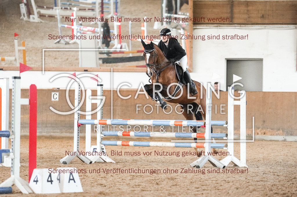 DSC09977 | Reitturnier_Göppingen_April_2026, Alisa_Fruh, Firmusa_6