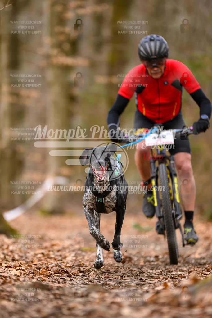 MompixPhotography_Habay2025_SA_Bike-14 | mompixphotography