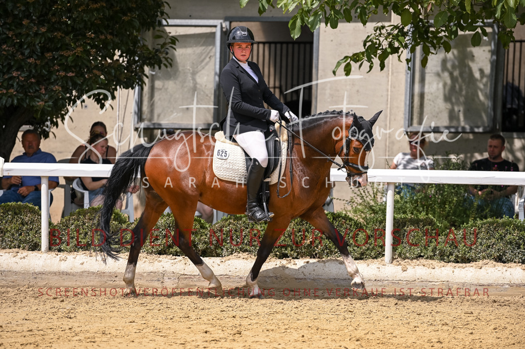 Schugtsche-Aluta25-55.Dressurreiterprf.L1Tr-107 | Schugtsche Fotografie - Realizzato con Pictrs.com