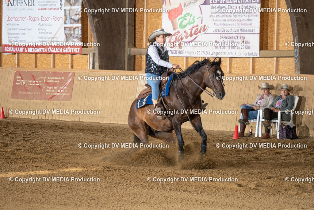 DSC00168 | dv-media-shop - Realisiert mit Pictrs.com