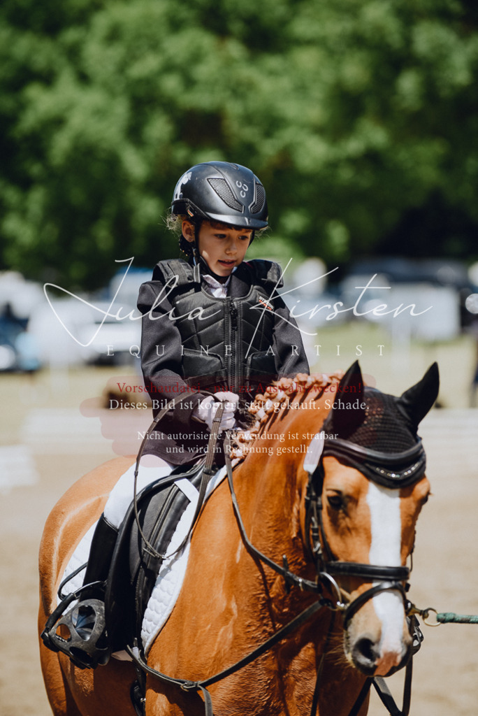 DSC_2396 | Pferde- und Turnierfotografie in Westsachsen. Pferdeportraits, Auftragszeichnungen und intuitive Kunst.
