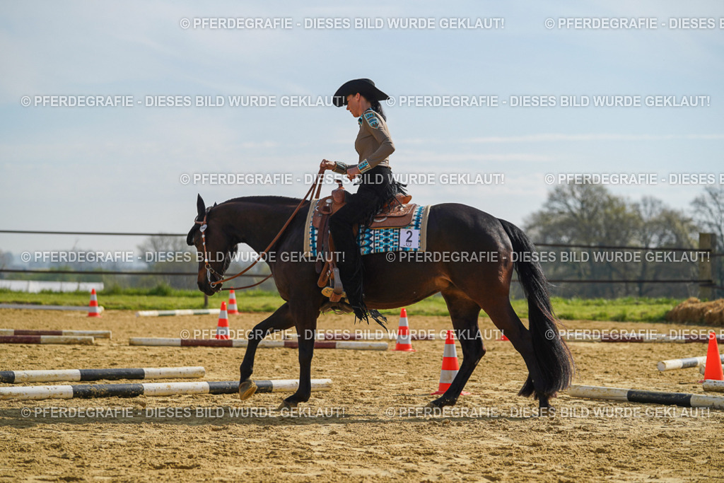 DSC01349 | Pferdegrafie