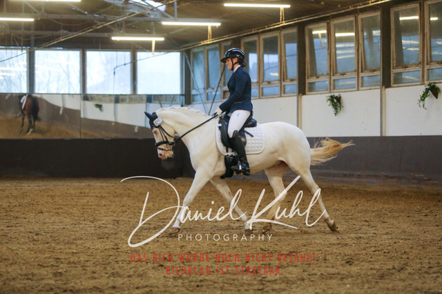 IMG_8016 | Turniersportfotografie; Pferdefotografie; Dressurfotografie