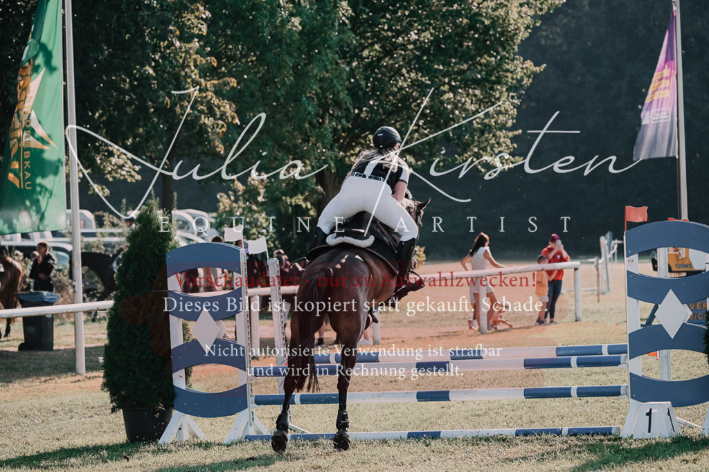 DSC_4587 | Pferde- und Turnierfotografie in Westsachsen. Pferdeportraits, Auftragszeichnungen und intuitive Kunst.