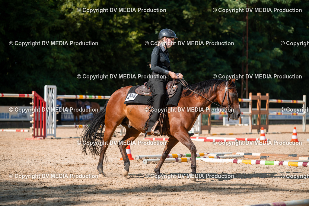 EWP_6964 | dv-media-shop - Realisiert mit Pictrs.com