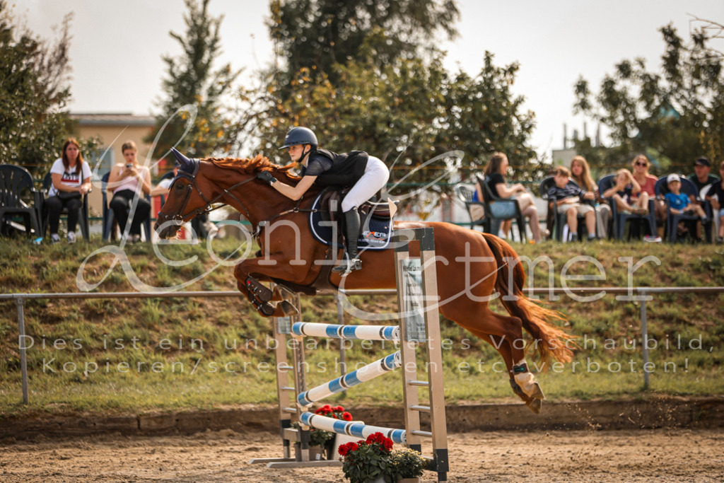 29.SaSpL00188 | Leoni Ertmer Photography - Realisiert mit Pictrs.com