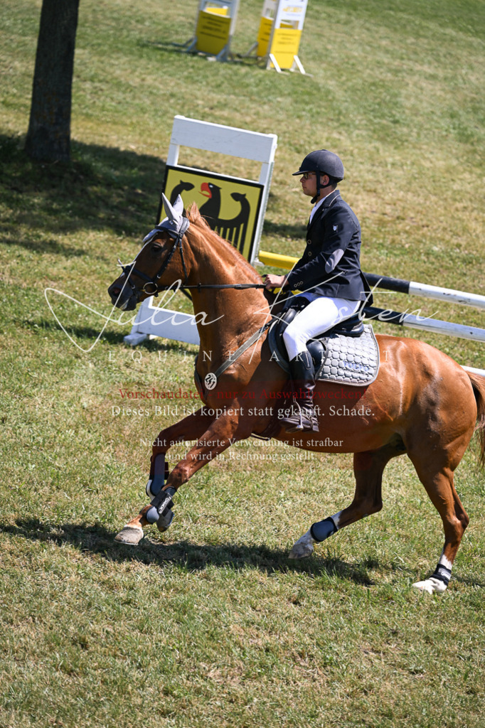 DSC_9983 | Pferde- und Turnierfotografie in Westsachsen. Pferdeportraits, Auftragszeichnungen und intuitive Kunst.