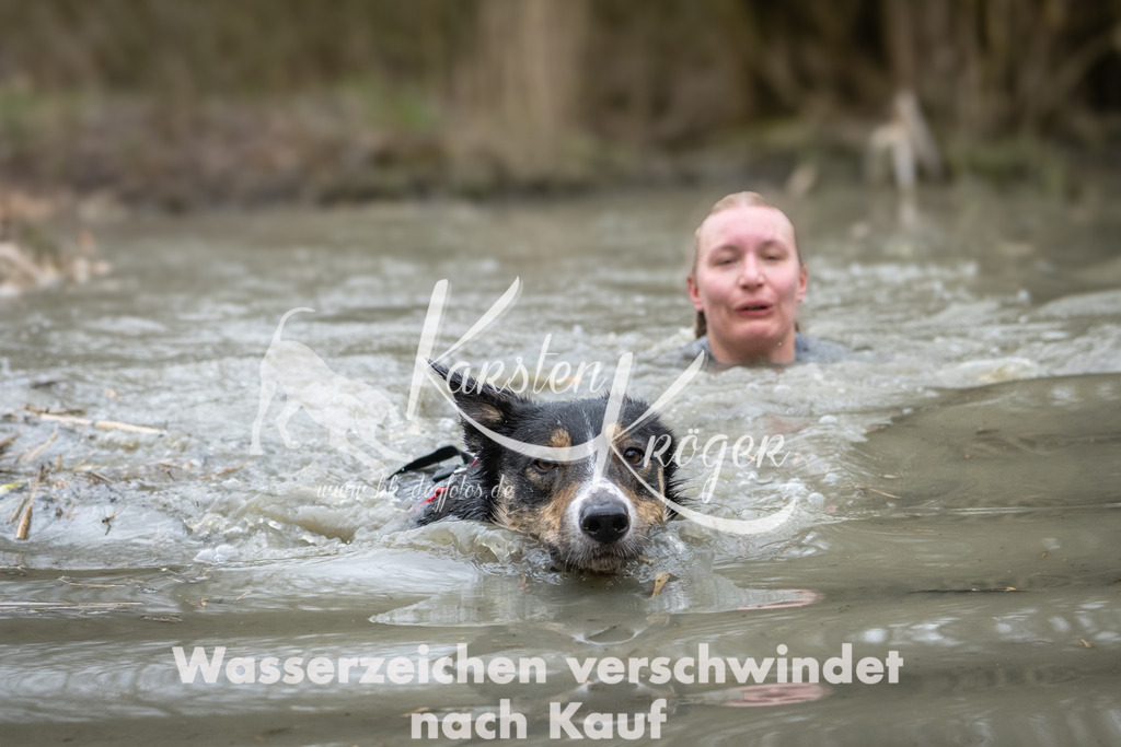 1115_ZZ98035 | kk-dogfotos