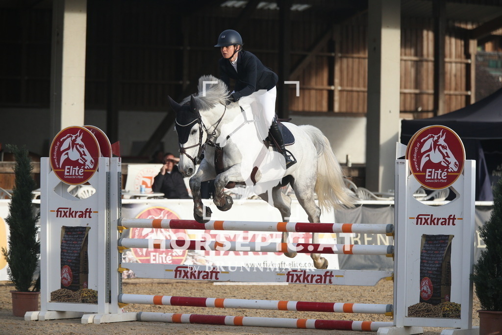 AS8V4158 | Willkommen bei Brunnmayr - Design & Fotografie – Ihrem Spezialisten für Reitturniere und Pferdeveranstaltungen in Oberösterreich, Salzburg und Bayern! Seit über 17 Jahren sind wir leidenschaftlich dabei.