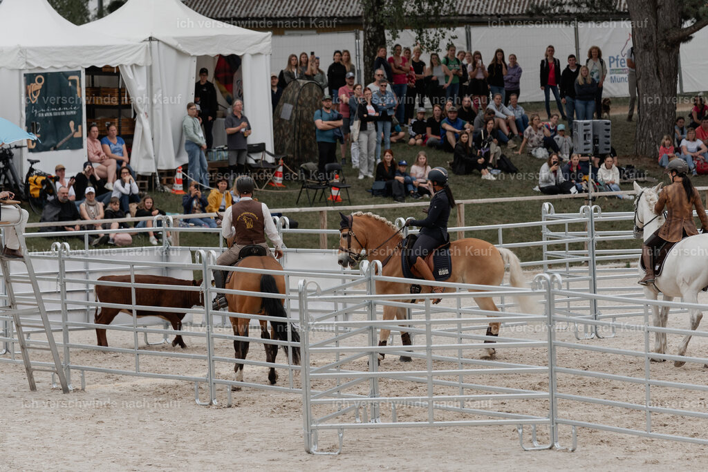 WE__Stoib_Rinder_PI2025_3083 | Pferd International München 2025