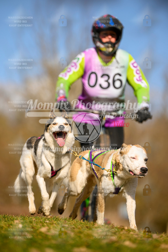 MompixPhotography_10Schwabentrail2026_SO_Scooter-75 | PayLife