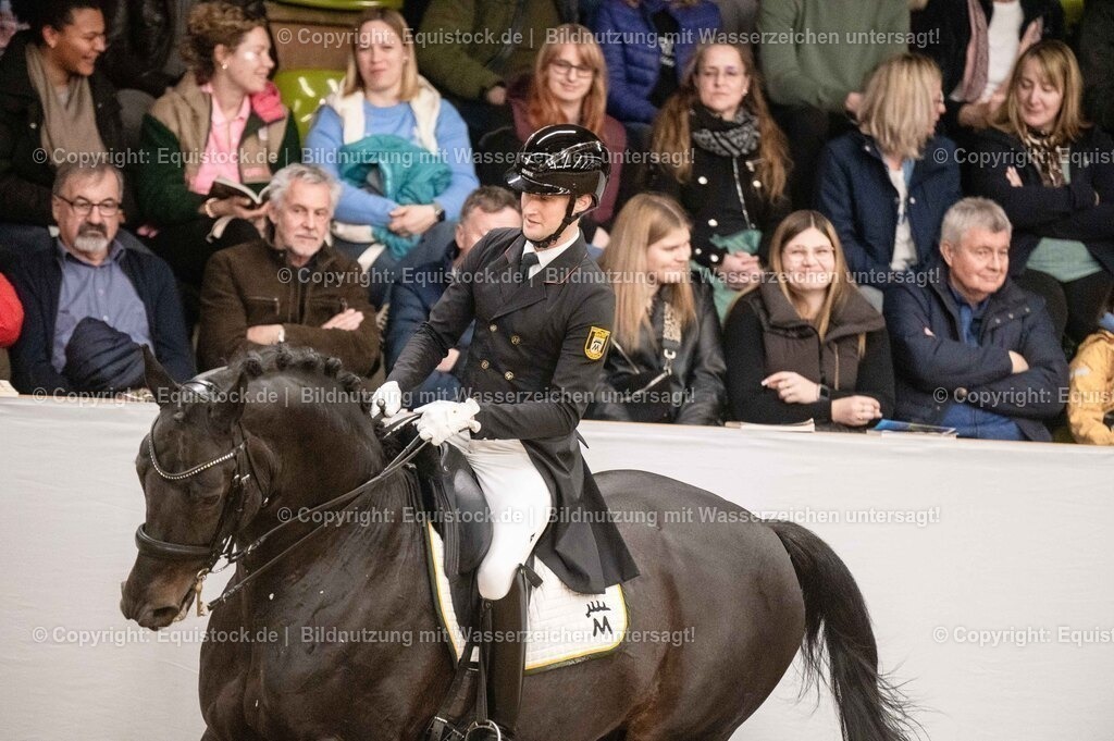 20260307_Hengstvorstellung-Marbach_0507 | equistock