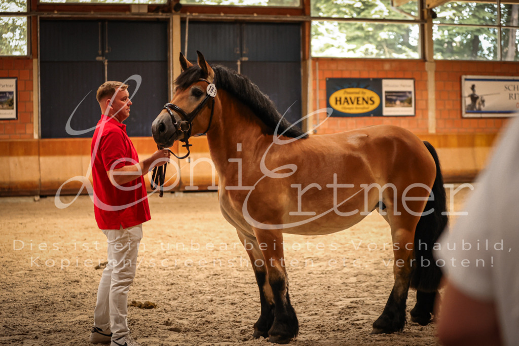 SaFL00180 | Leoni Ertmer Photography - Realisiert mit Pictrs.com