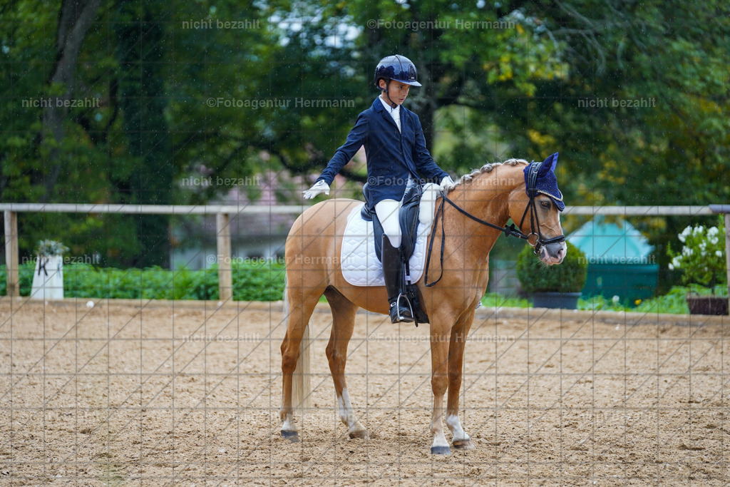 20221008-FAH01998 | Diessen am Ammersee, 2022, Dressur- und Springturnier, Reitsportbilder, Turnierfotografen Bayern, Pferdefotografen, Fotoagentur Herrmann, Turnierbilder