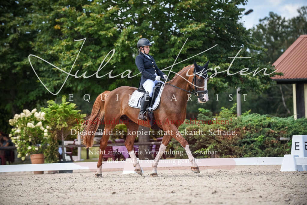 DSC_9327 | Pferde- und Turnierfotografie in Westsachsen. Pferdeportraits, Auftragszeichnungen und intuitive Kunst.