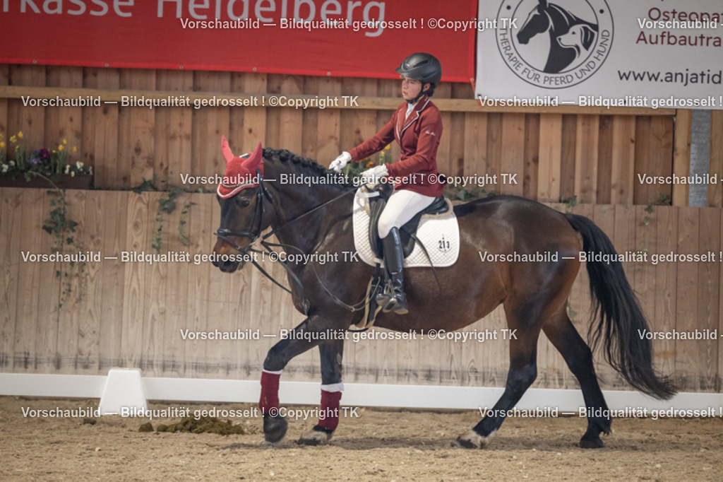 _D5A5547 | Emotionale Pferde- & People-Fotografie rund um Heidelberg, Leimen & Umgebung. Natürliche Fotos von Pferd, Mensch & Familie. Jetzt Termin sichern!