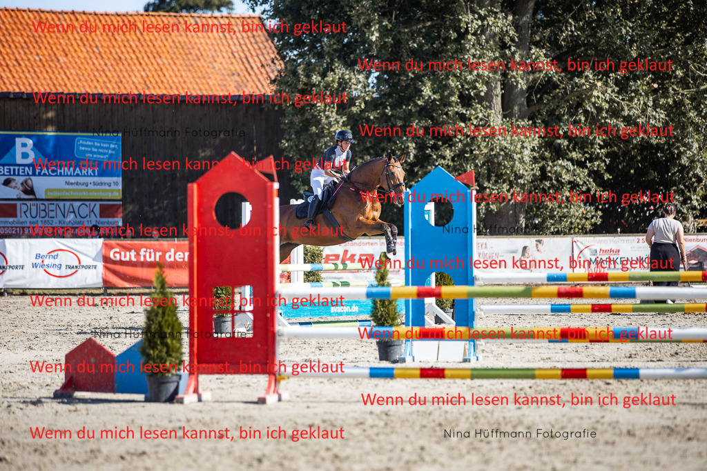 BK1A7340 | Turnierbilder Turnierfotos Nina Hüffmann Turnierfotografie Pferdefotografie Tierzeichnung Haustierzeichnung Pferdezeichnung Hundezeichnung Videograf  - Realisiert mit Pictrs.com