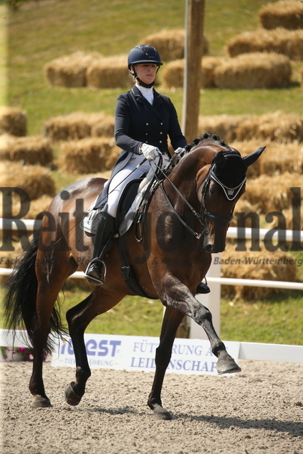 Birkhof_2022_GrandPrixSpecial_Anna Casper_Donna Clara 60 (1) | Alle Fotos der Reiterjournal Fotografin Doris Matthaes im Reiterjournal Online-Fotoshop. - Realisiert mit Pictrs.com